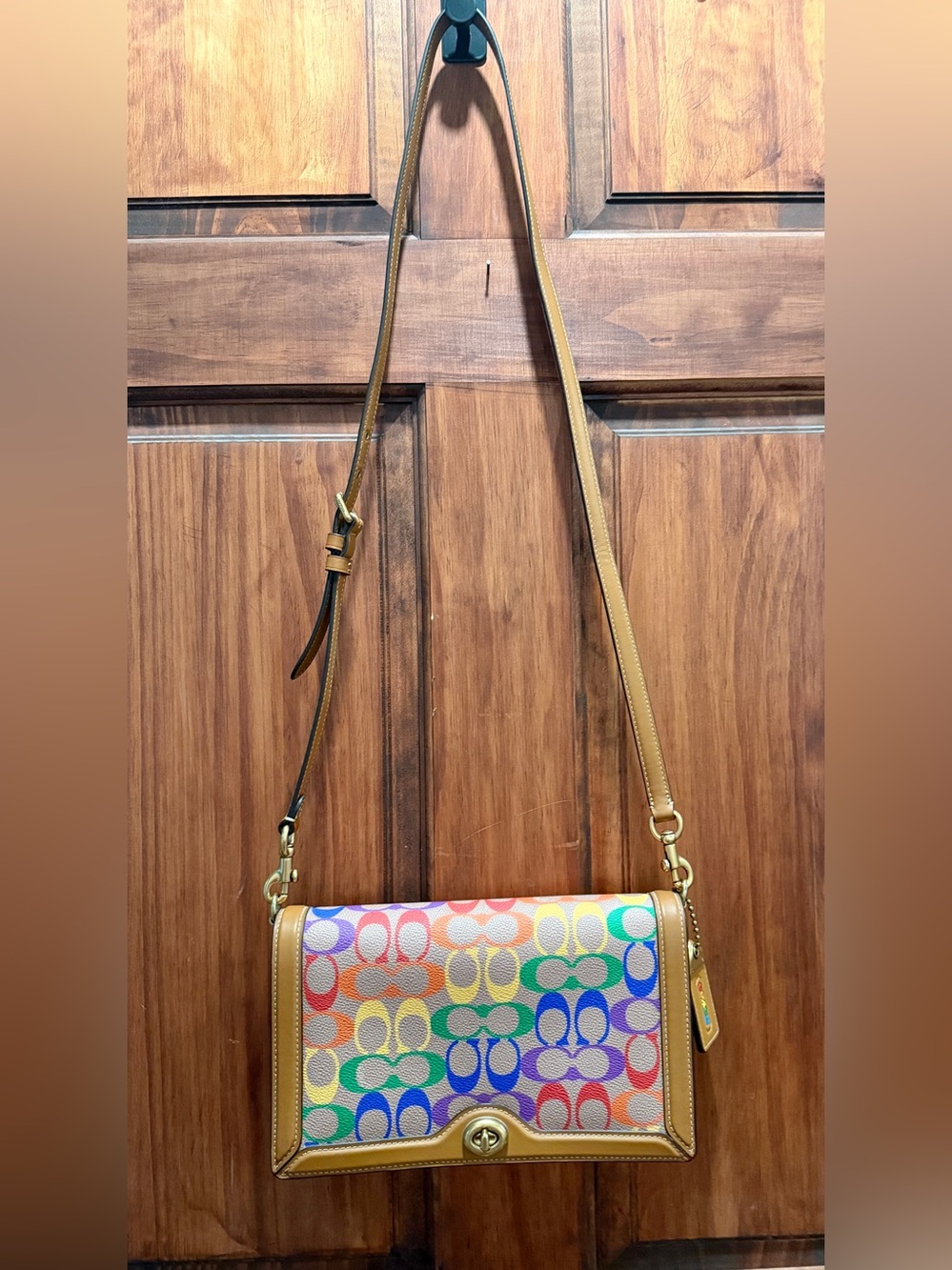 Coach Multicolor Signature Riley Swingpack Crossbody Bag - Picture 2 of 9
